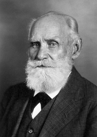 Illustration for article titled The Truth About Pavlov's Dogs Is Pretty Disturbing